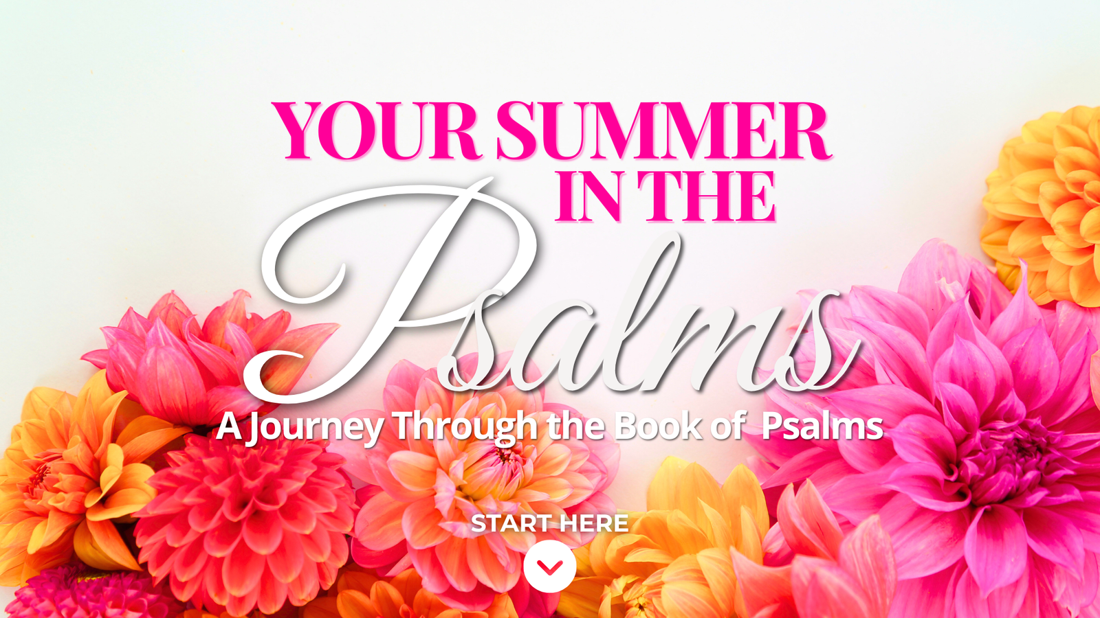 Your Summer in the Psalms landing page