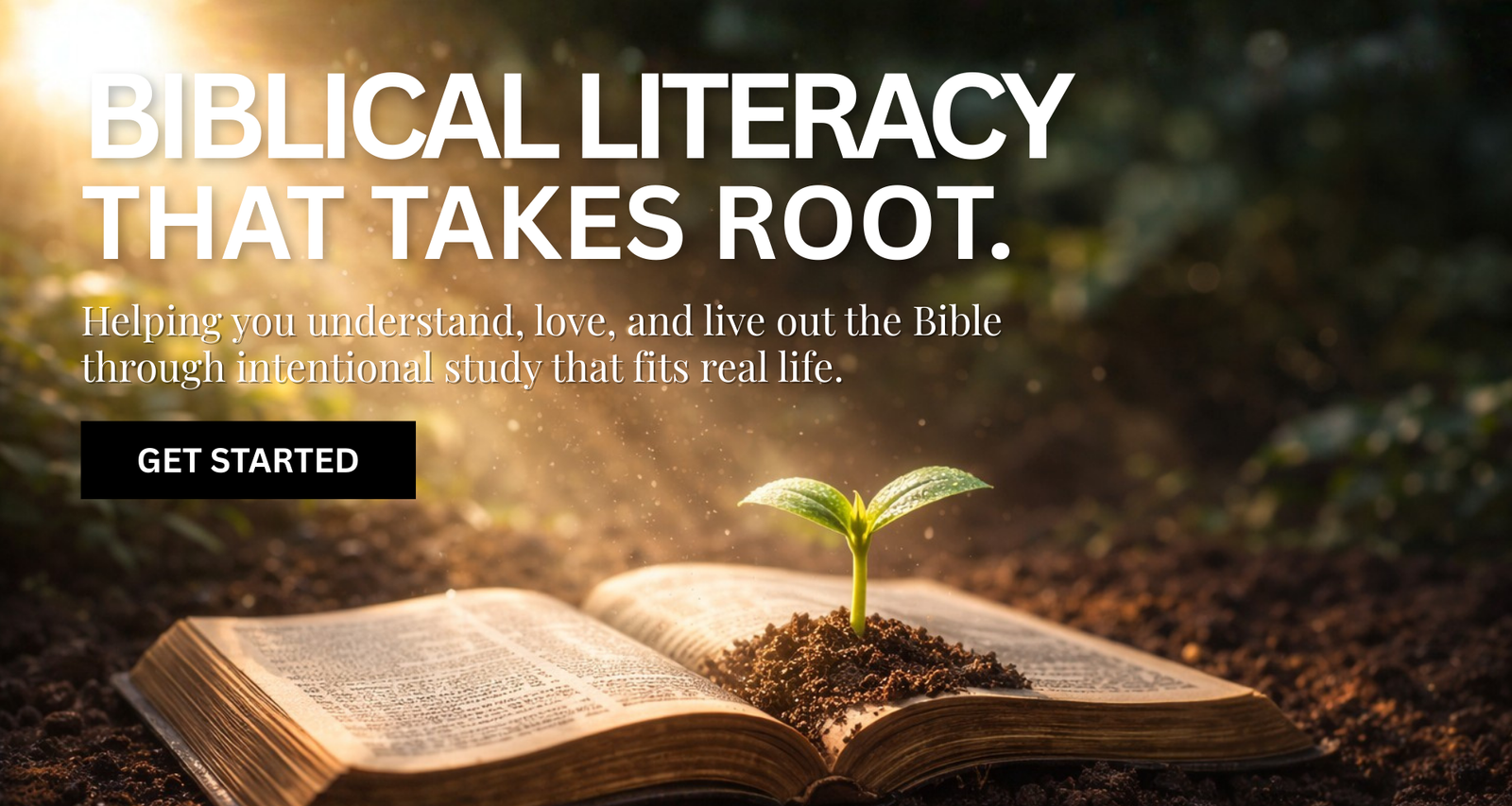 Rachel G. Scott Website welcome banner