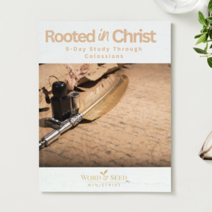 Rooted in Christ Colossians Bible study on identity and spiritual discernment
