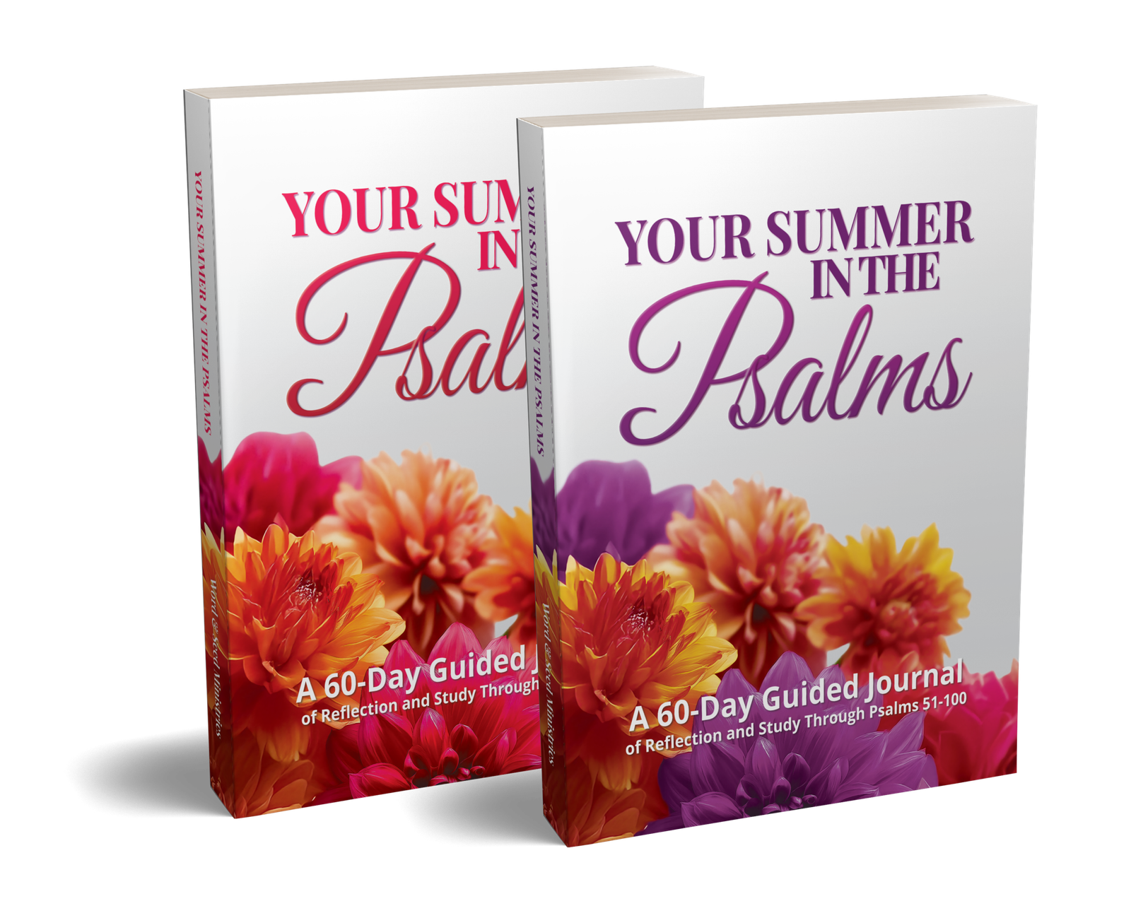 The foundations of the 12 Tribes of Israel Companion Study Guide with Rachel G. Scott